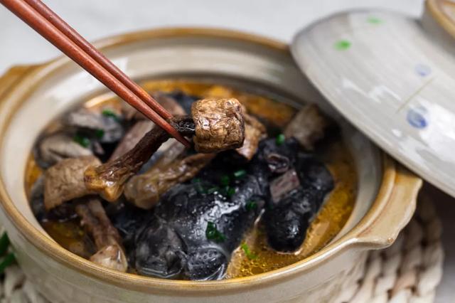 國(guó)家蘑菇地理：中國(guó)哪里的蘑菇最好吃？