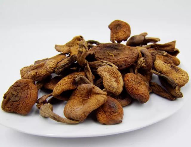 國(guó)家蘑菇地理：中國(guó)哪里的蘑菇最好吃？