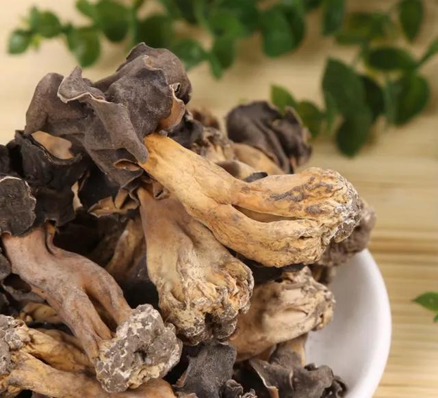 國(guó)家蘑菇地理：中國(guó)哪里的蘑菇最好吃？